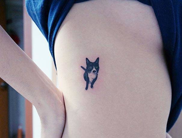 Illegal Cat Tattoo