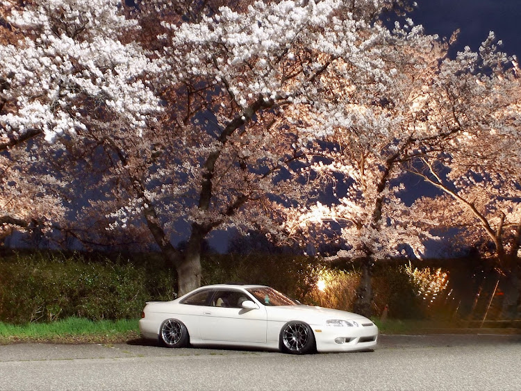 ソアラのサクラと愛車・桜と愛車・桜コラボ・グリル大百科に関するカスタム事例の投稿画像10枚目