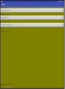 GCS(圖3)-速報App