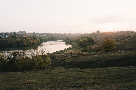 Hochzeitsfotograf Vyacheslav Raushenbakh (raushenbakh). Foto vom 14. November 2017