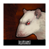 Rat Clicker 2 - Idle RPG icon