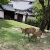 ユーザー
