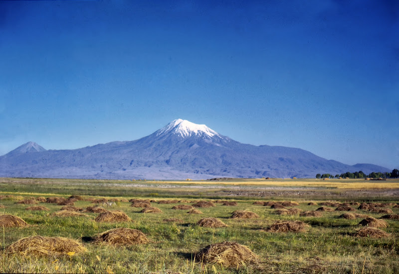 Ararat di romano