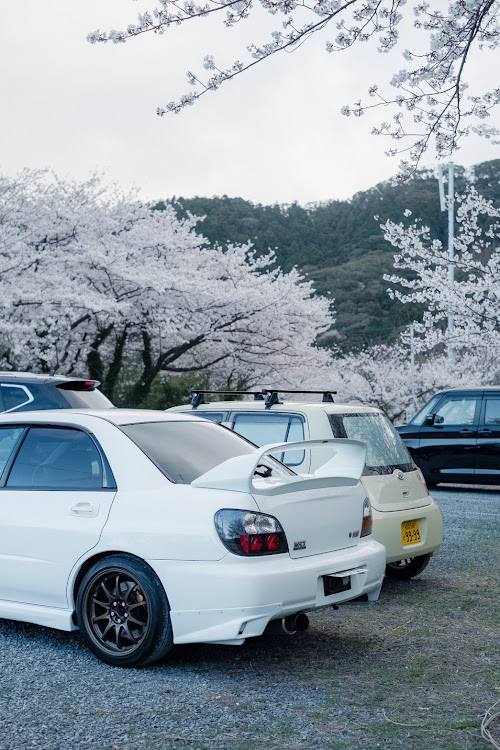 インプレッサ WRX STIの桜シーズン開幕・サクラと愛車に関するカスタム事例の投稿画像3枚目