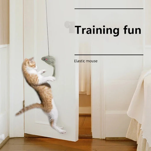 images slider number - 5