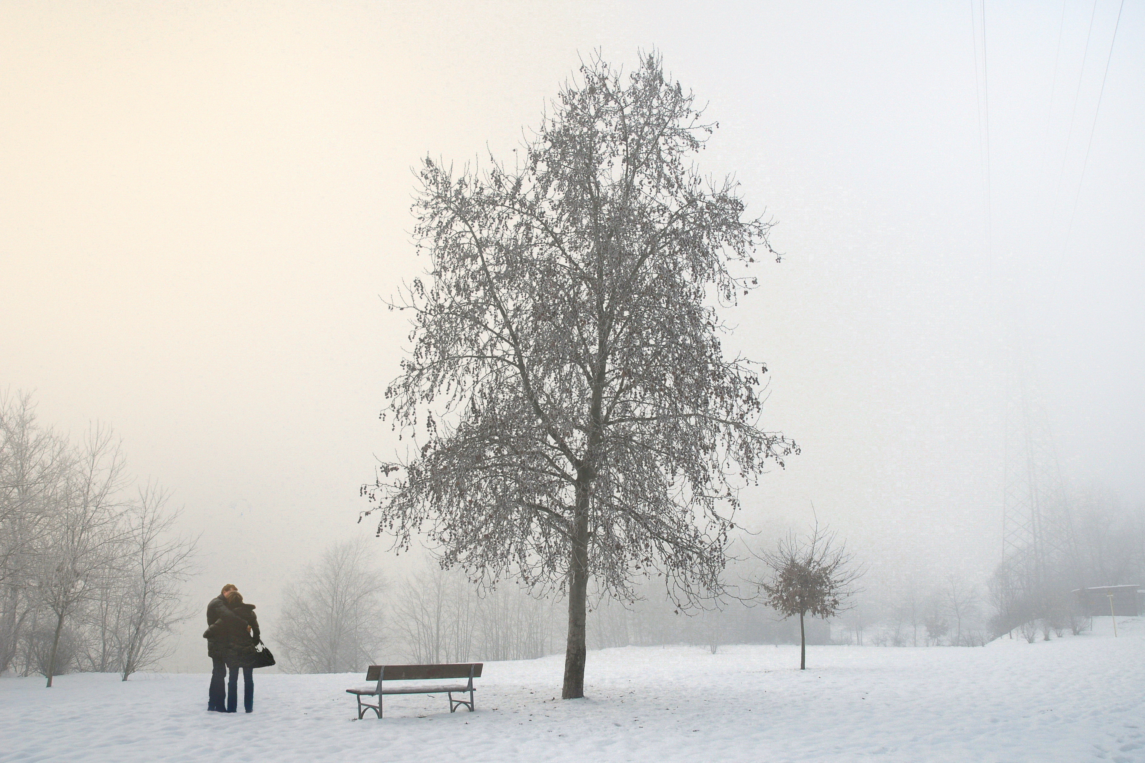 The coldest days of my life. Or not? di giacominet