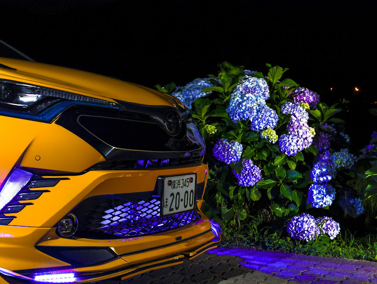 C-HRの梅雨の晴れ間・紫陽花と愛車・あじさいコラボ・アジサイに関するカスタム事例の投稿画像8枚目