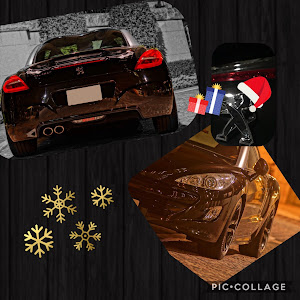 RCZ