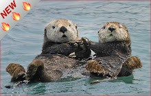 Otters HD Wallpapers Pet Theme small promo image