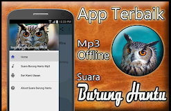 Suara Burung Hantu Mp3 Offline