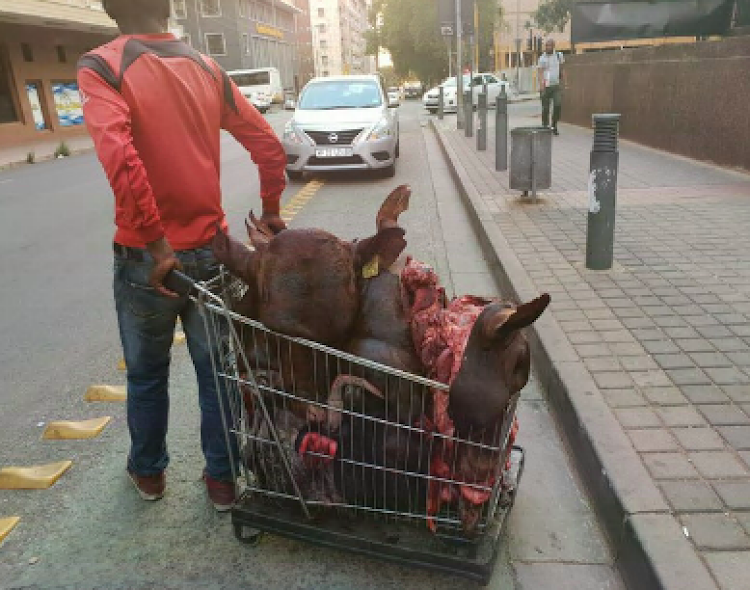 Herman Mashaba apologises for post on citizen's arrest of cow heads trader