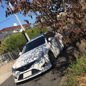 マークX GRX130系