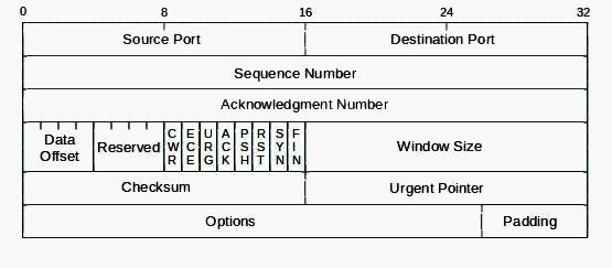 tcp header