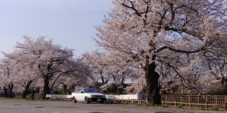 の投稿画像1枚目