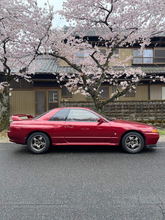 スカイライン GT-Rの桜とコラボ🌸・サクラと愛車・桜とコラボ・ドライブ・エムズガレージに関するカスタム事例の投稿画像2枚目