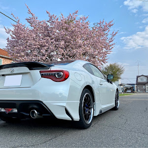 86 ZN6