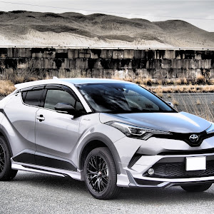 C-HR ZYX10