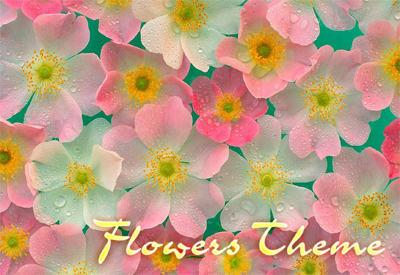 Flowers Theme