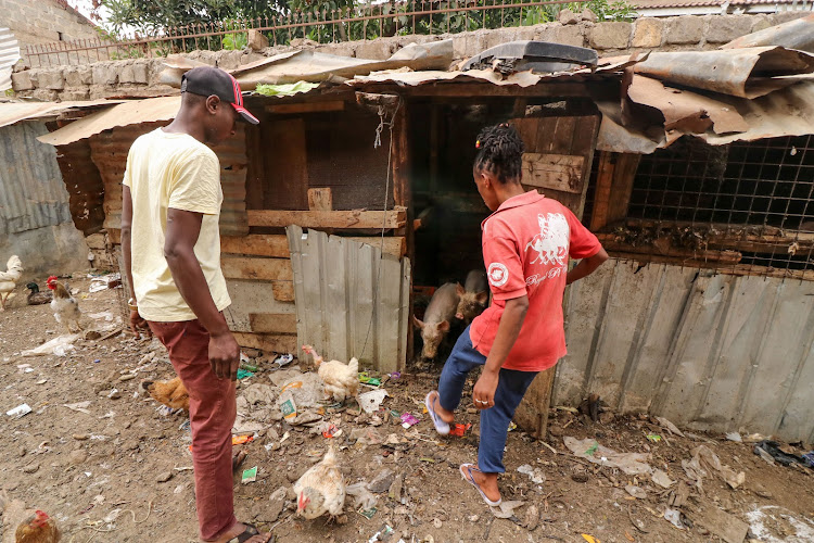 Catherine Ngure with her husband Hillary Osengo in their backyard with the animals their son reared.