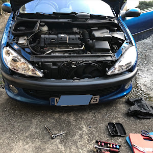 206 A206CC