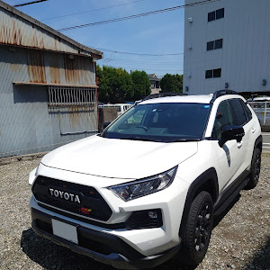 RAV4 MXAA54