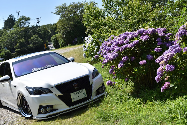 クラウンアスリートの紫陽花コラボ・一眼レフ初心者・エアサス・ドライブに関するカスタム事例の投稿画像1枚目