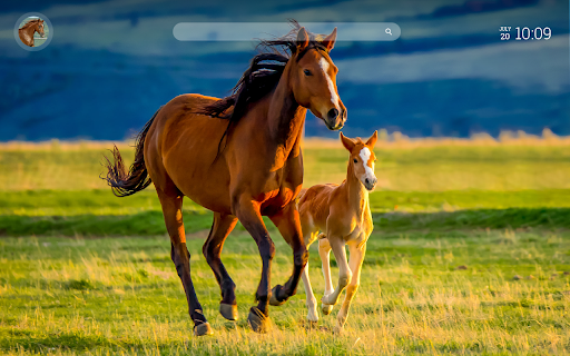 Horse Wallpaper New Tab with Facts