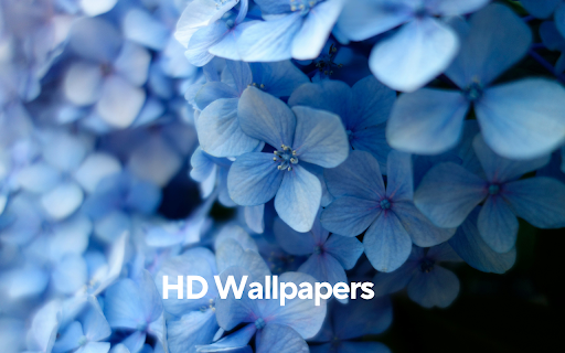 Beautiful Flower Wallpapers - New Tab