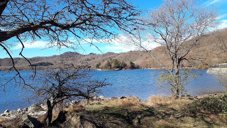 プリウスのベストショット・ドライブに関するカスタム事例の投稿画像10枚目