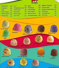 Dinshaw's Shree Ice Cream Junction menu 5