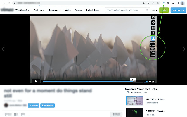 Vimeo Downloader Professional chrome extension