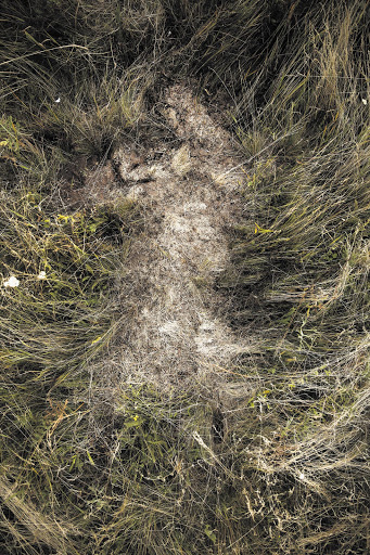 An imprint of a body at the crash site of the Malaysia Airlines Flight MH17 near Hrabove, in the Ukraine