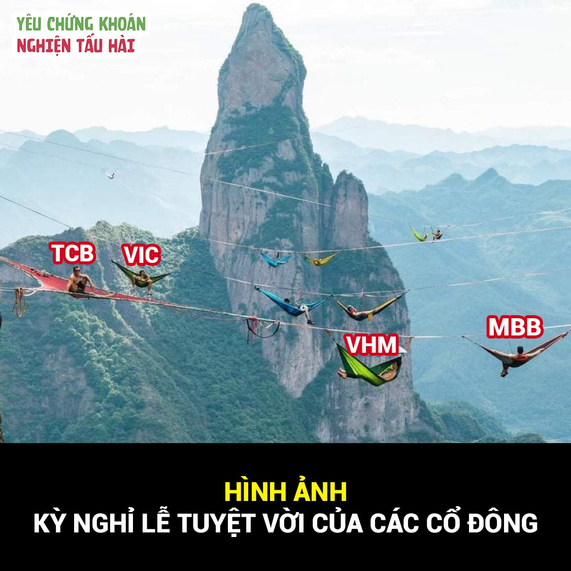 các cổ đông đinh đủ ;)))))))