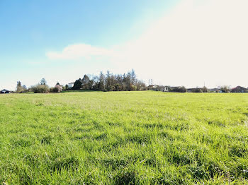 terrain à Saint-Antoine-Cumond (24)