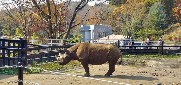 の投稿画像7枚目