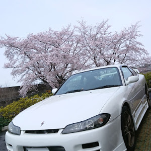 シルビア S15