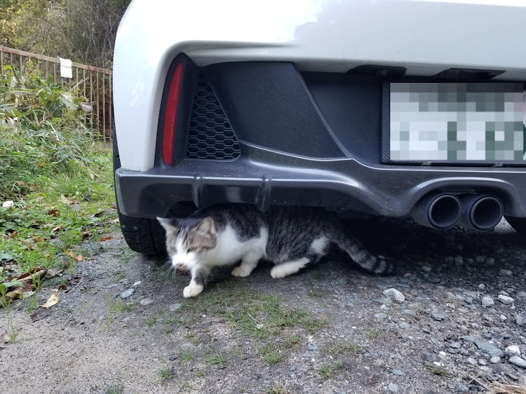 S660のドローン・猫に関するカスタム事例の投稿画像3枚目