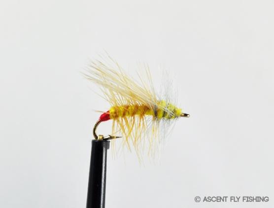 yellow_sally_stimulator_fly.jpg