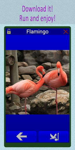 Birdsong sounds of nature for children