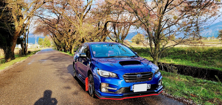 レヴォーグのレヴォーグSTI sports・WRブルー・桜に関するカスタム事例の投稿画像1枚目
