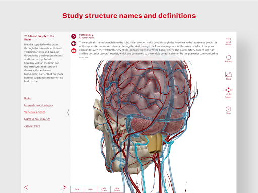 Anatomy & Physiology v6.0.71 BX9uW6klwTqWNEBMyR_shAUTYFKANQ0gU7FKQZYdPDTtZvIO3QFBgawWsvfOY8mOwuU