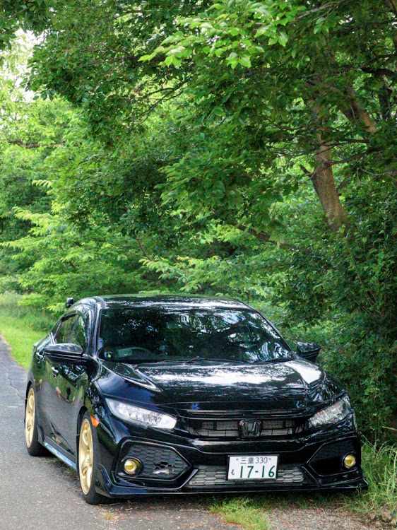 シビック(欧州HB)の新緑と愛車・単焦点レンズ📸・６月もよろしくお願いしますに関するカスタム事例の投稿画像1枚目