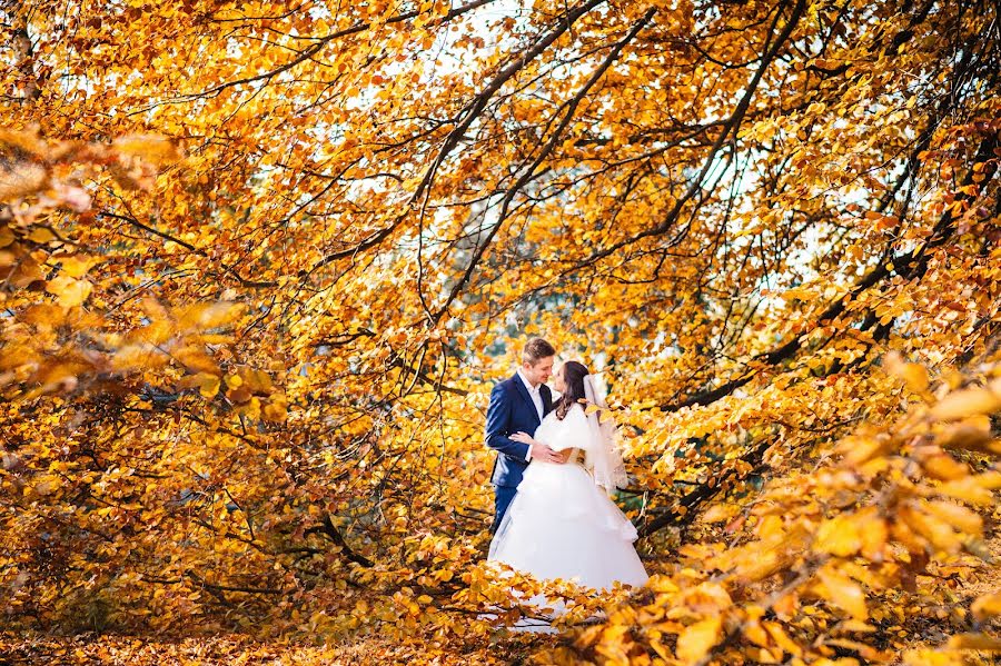 Fotografo di matrimoni Andrew Black (andrewblack). Foto del 30 gennaio 2016