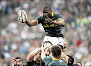 VERSATILE: Bok flank Teboho Mohoje may fill in at lock   photo:  Steve  Haag/Gallo  Images