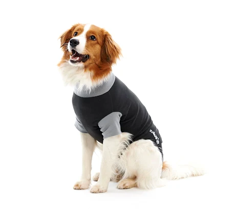 BUSTER Body Suit Classic, till hund, svart/gr, 46 cm, M