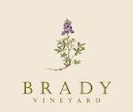 Brady Vineyard Cabernet Sauvignon