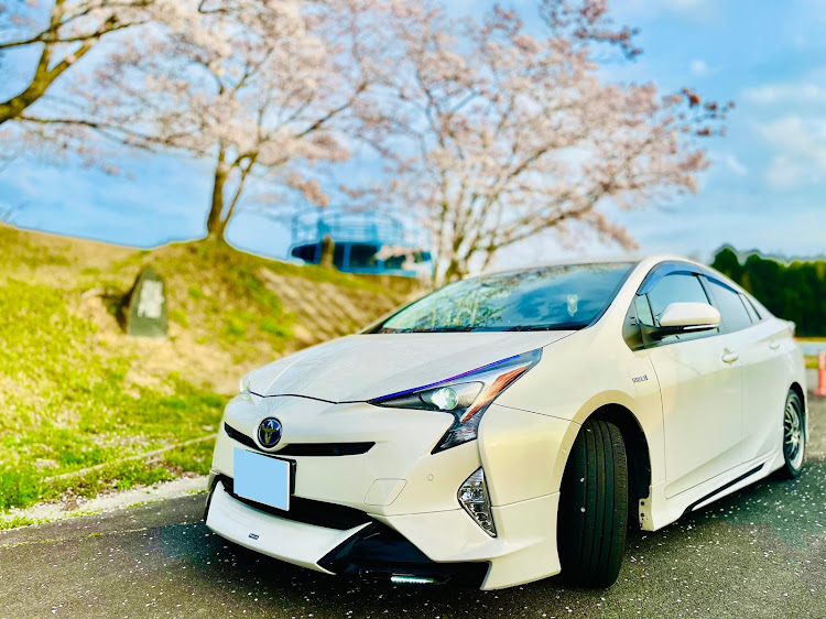 プリウスの桜と愛車・桜とコラボ・桜・花見に関するカスタム事例の投稿画像1枚目