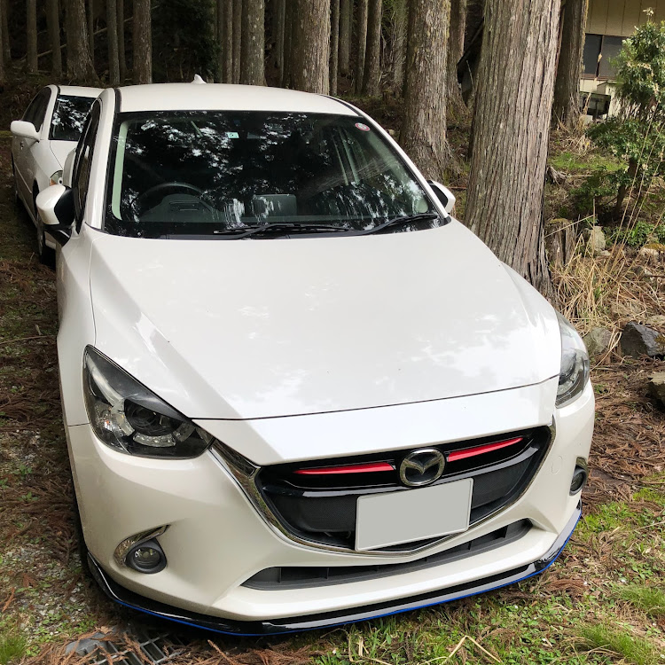 デミオの七夕・セブンの日・７月もよろしくお願いいたします・蝉、鳴きました・#車高詐欺に関するカスタム事例の投稿画像1枚目