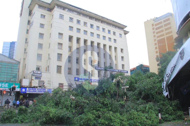 A huge tree has fallen along Moi avenue, Nairobi CBD, due to heavy rains experienced in the city/EZEKIEL AMING'A