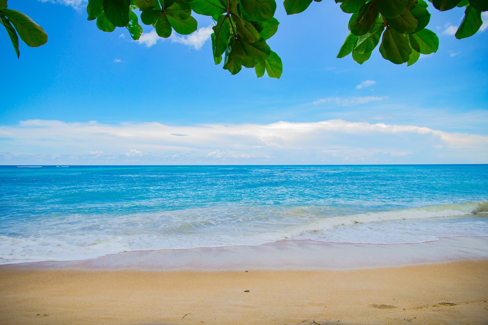 https://images.pexels.com/photos/459522/pexels-photo-459522.jpeg?cs=srgb&dl=beach-calm-clouds-459522.jpg&fm=jpg